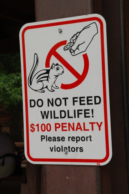 Do not feed wildlife!